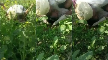 Village Old Man Sex With Farm Aunty