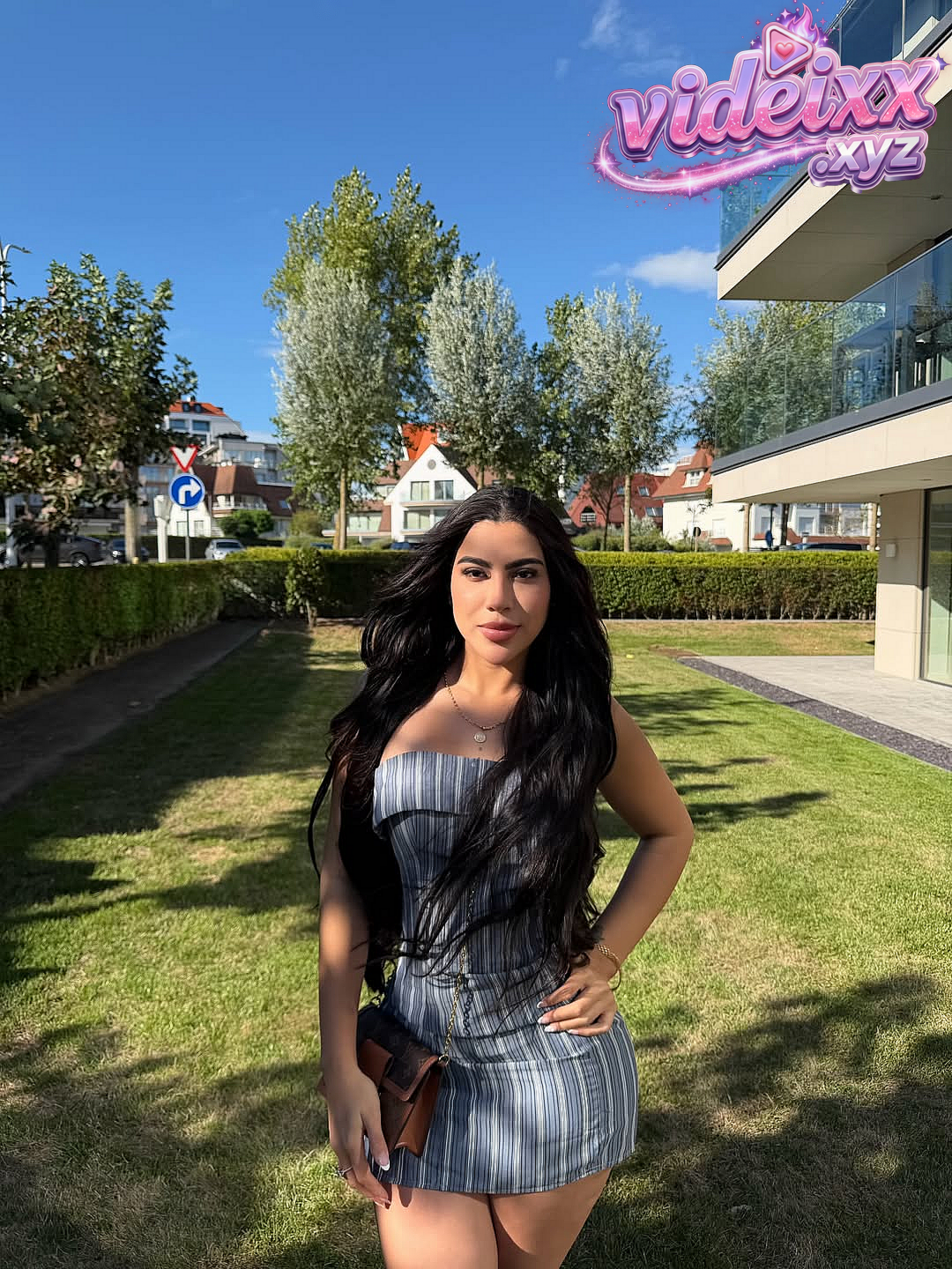 Video Preview