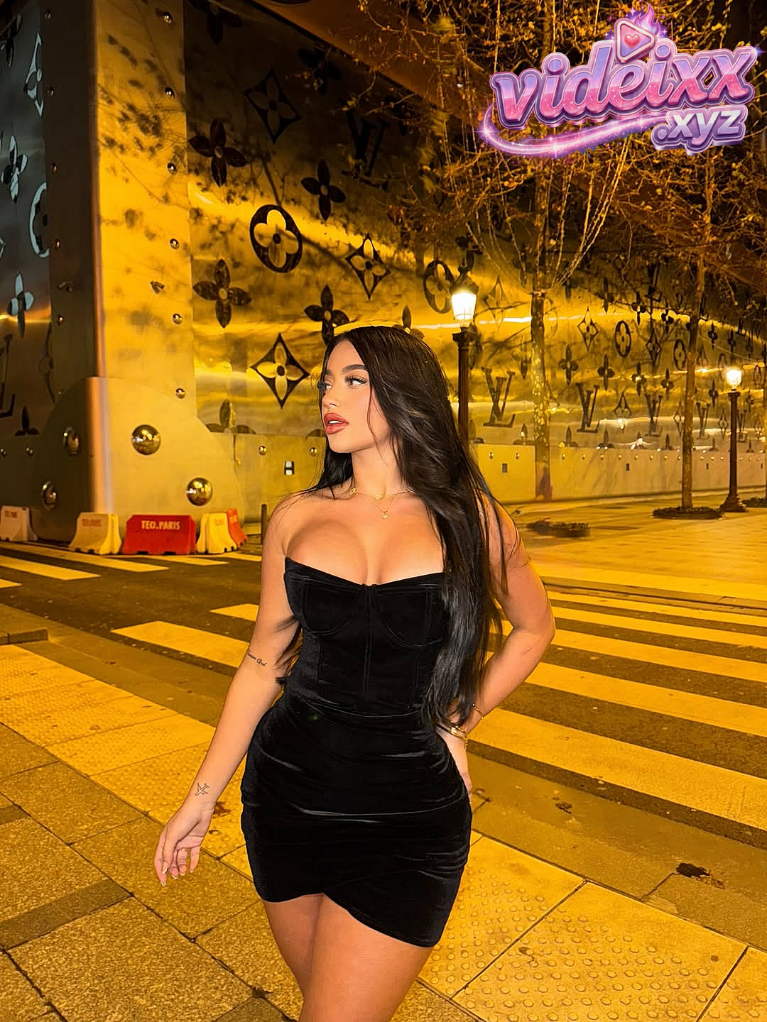 Video Preview