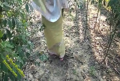 Local sex of a desi milf fucking outdoor