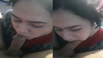 Beautiful Pakistani Girl Hard Dick Sucking Oral Porn